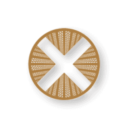 TownX Development