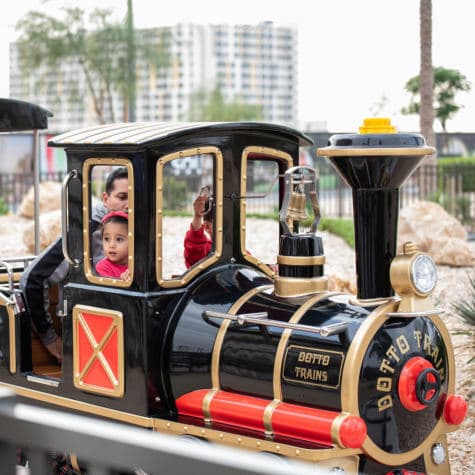 Kids Train