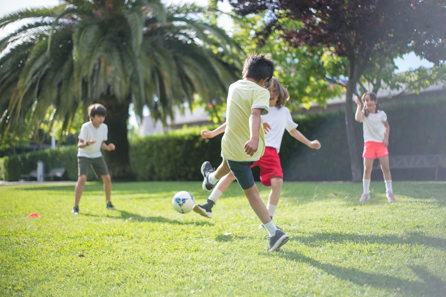 Kid'S Outdoor Play Area