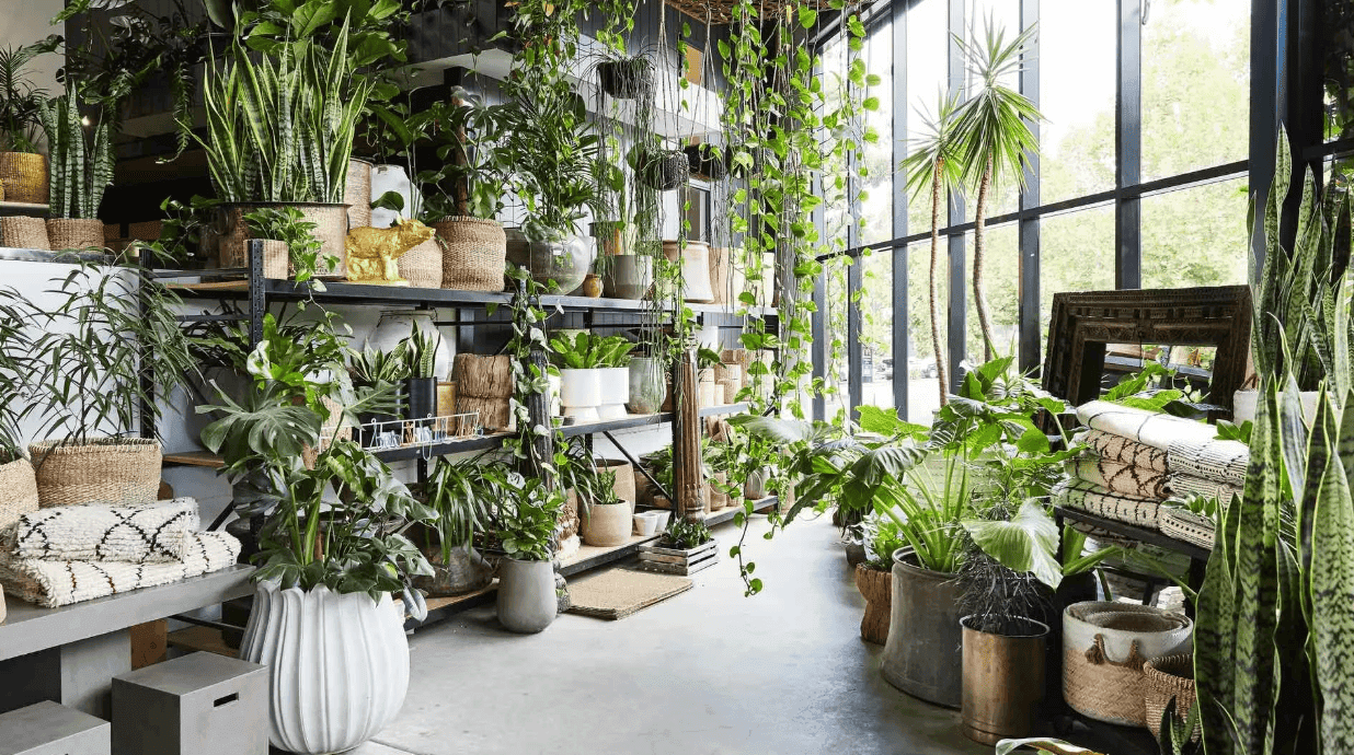 Flower & Plant Shop