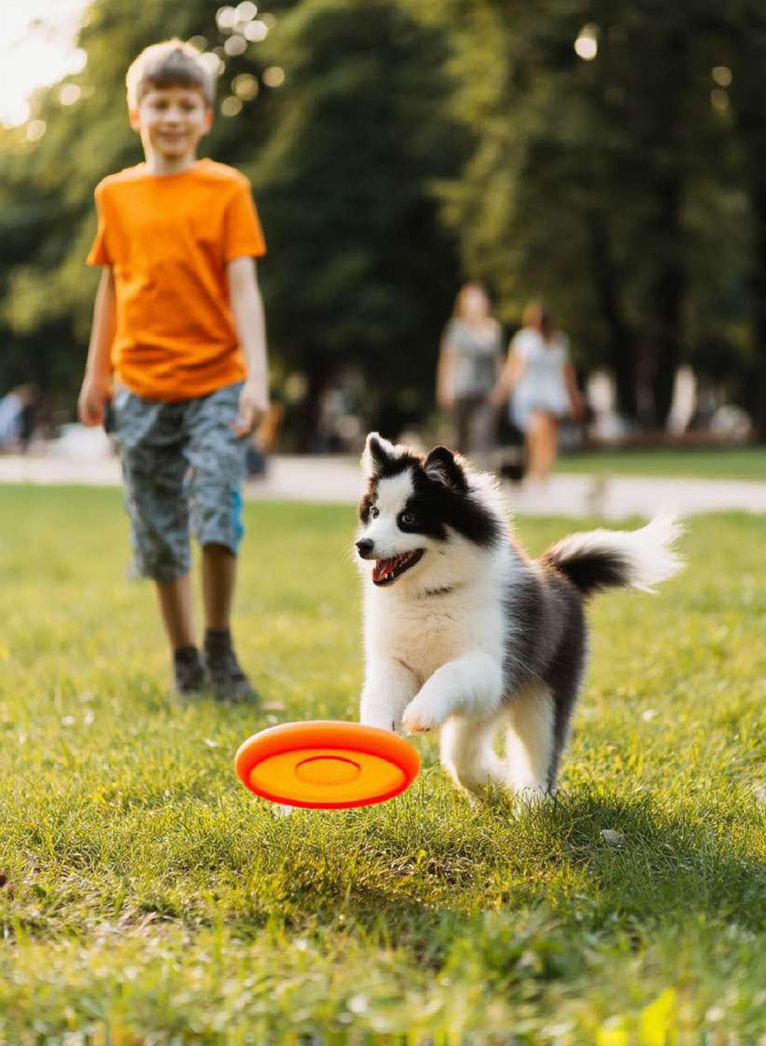 Activity Lawn