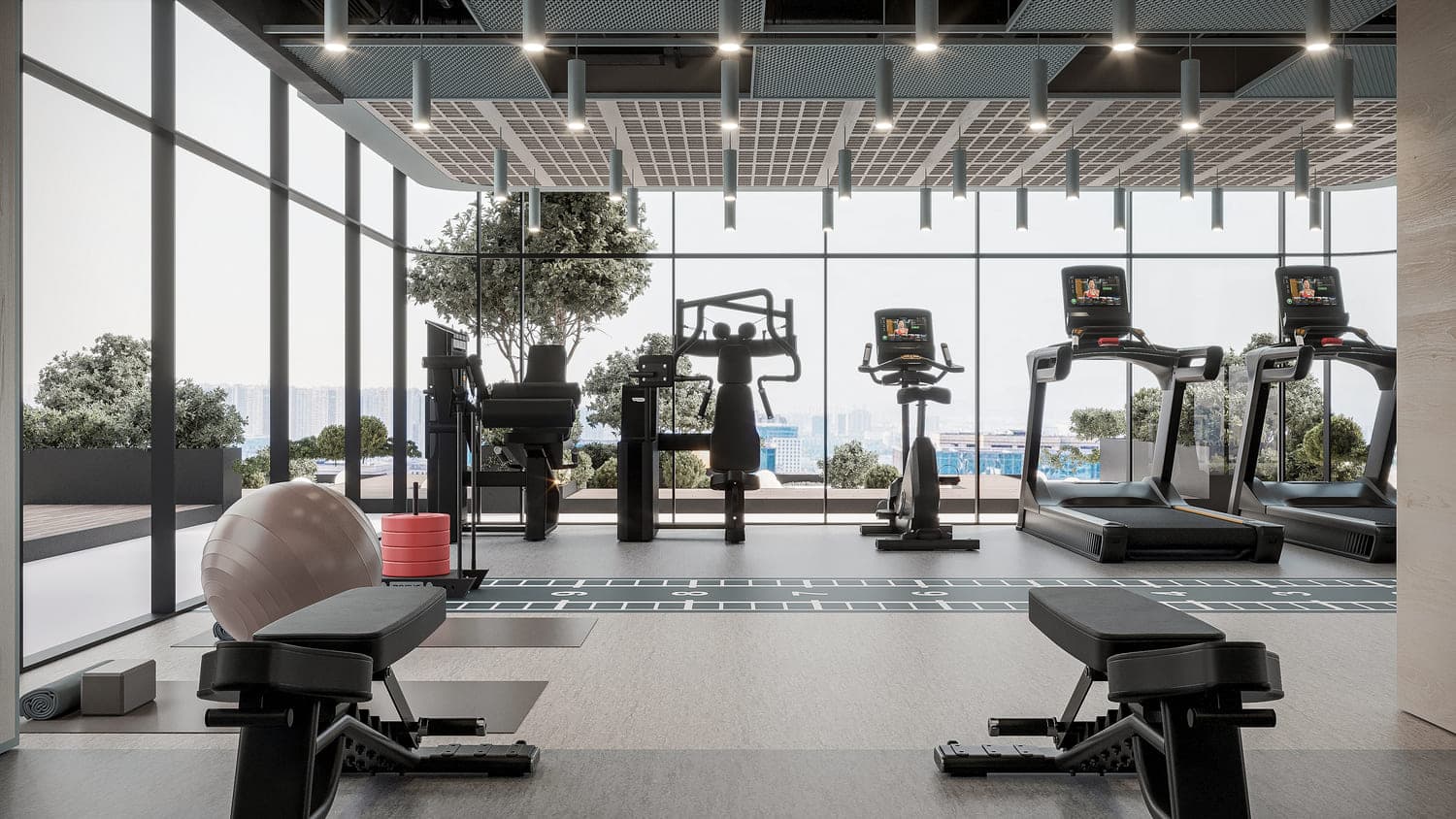 Gym