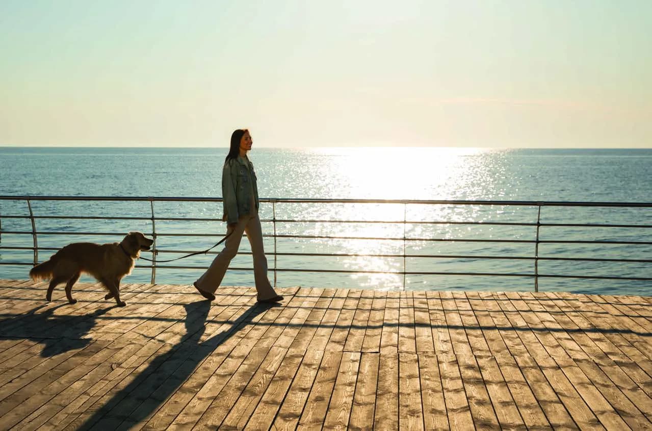Waterfront Walkway