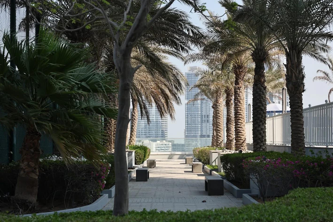 Garden Area