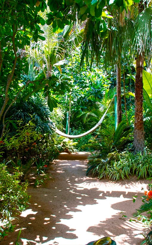 Themed Gardens
