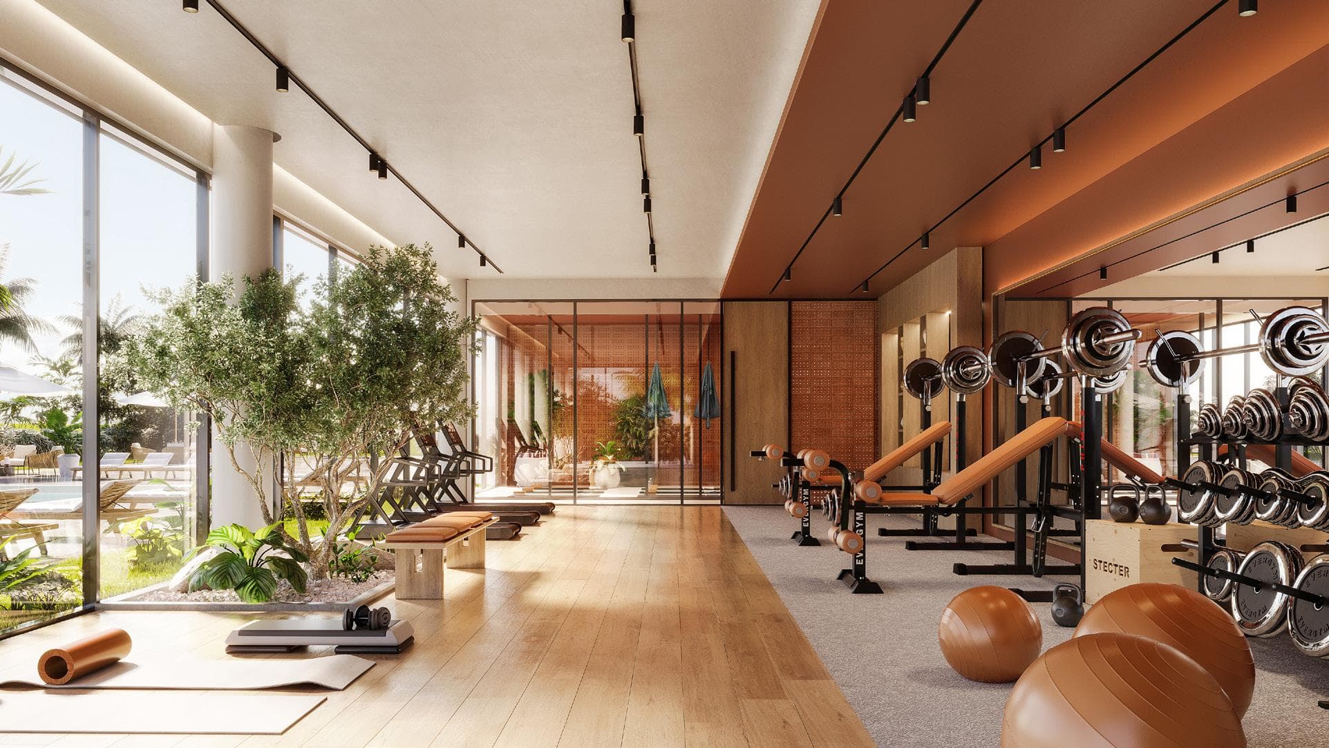 Gym
