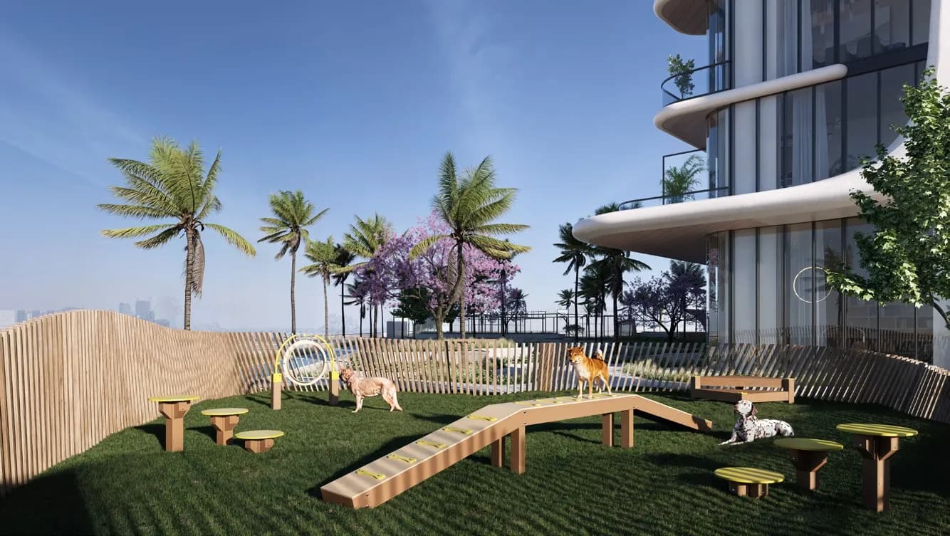 Pet Area