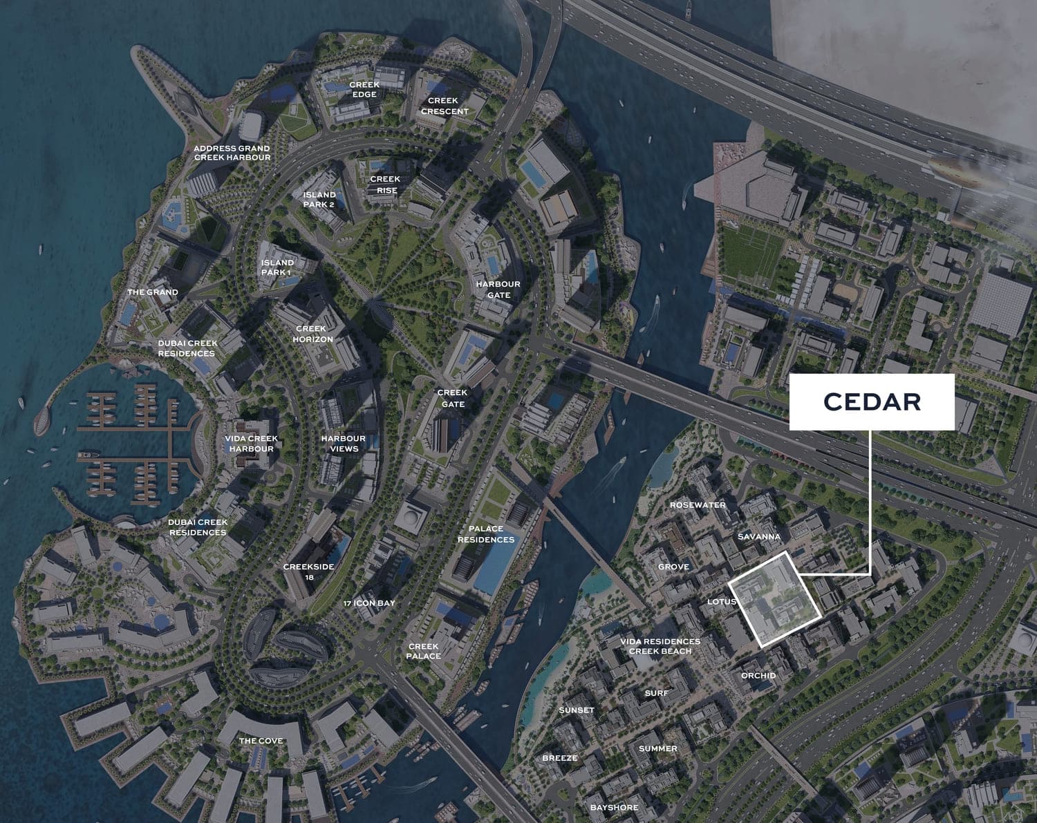 Cedar