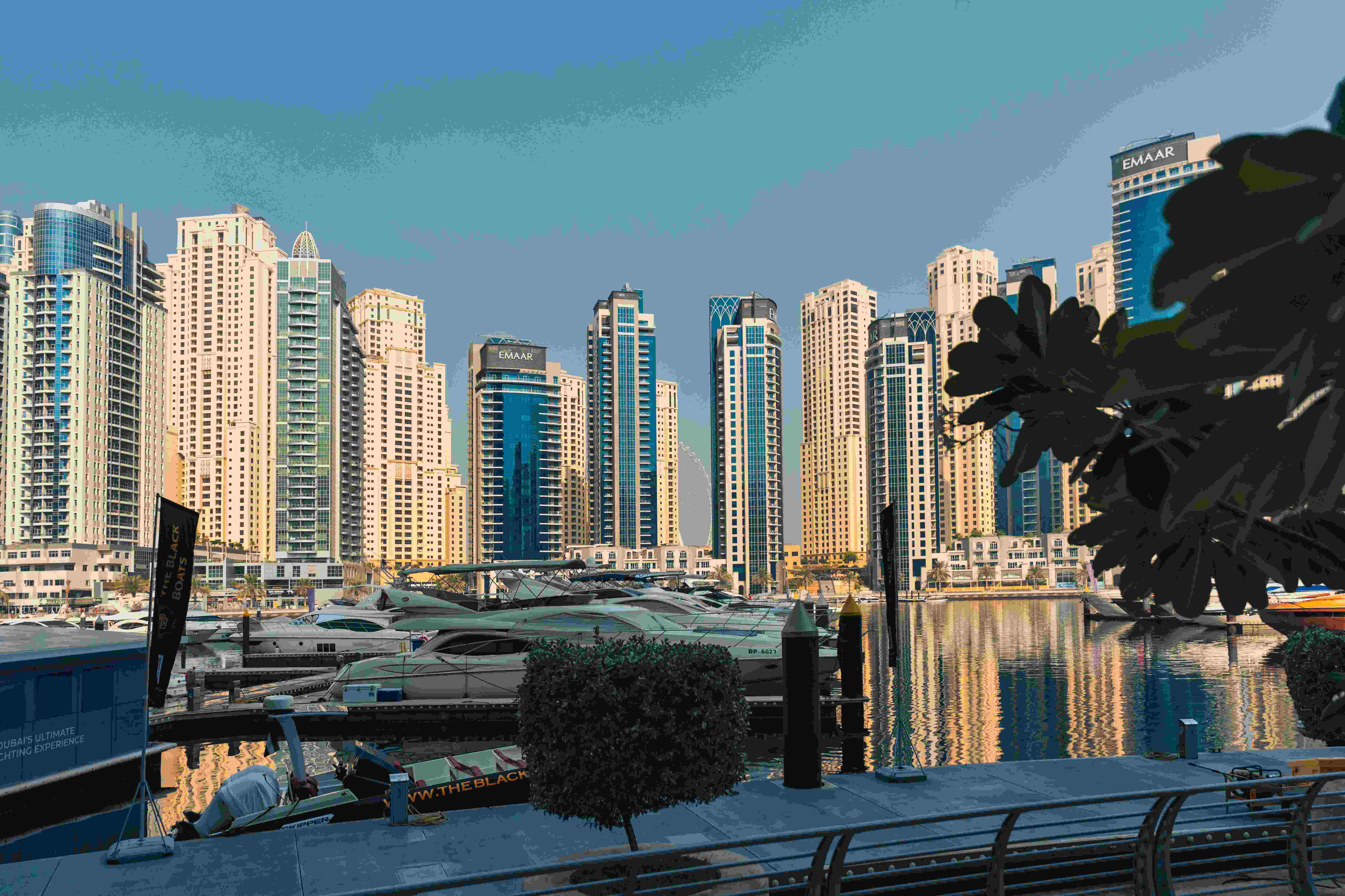 Al Shamkhah