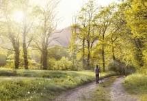 Walking paths