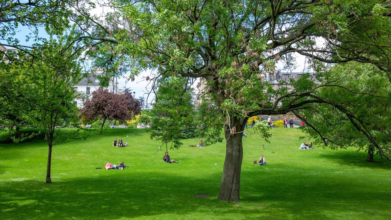 Leisure areas