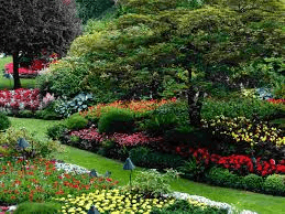 Landscaped Gardens