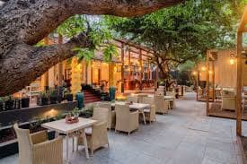 Dining outlets (coffee houses & restaurants)