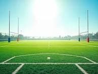 Sports lawns