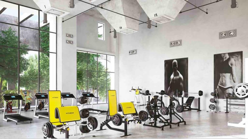 Gymnasium