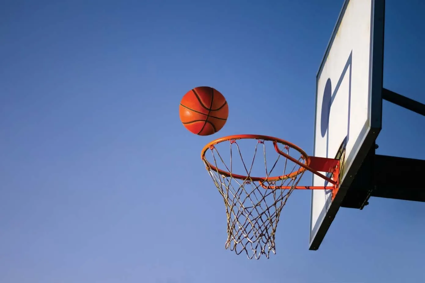 Multipurpose Sport Court