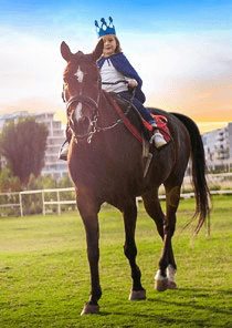 Horse Riding
