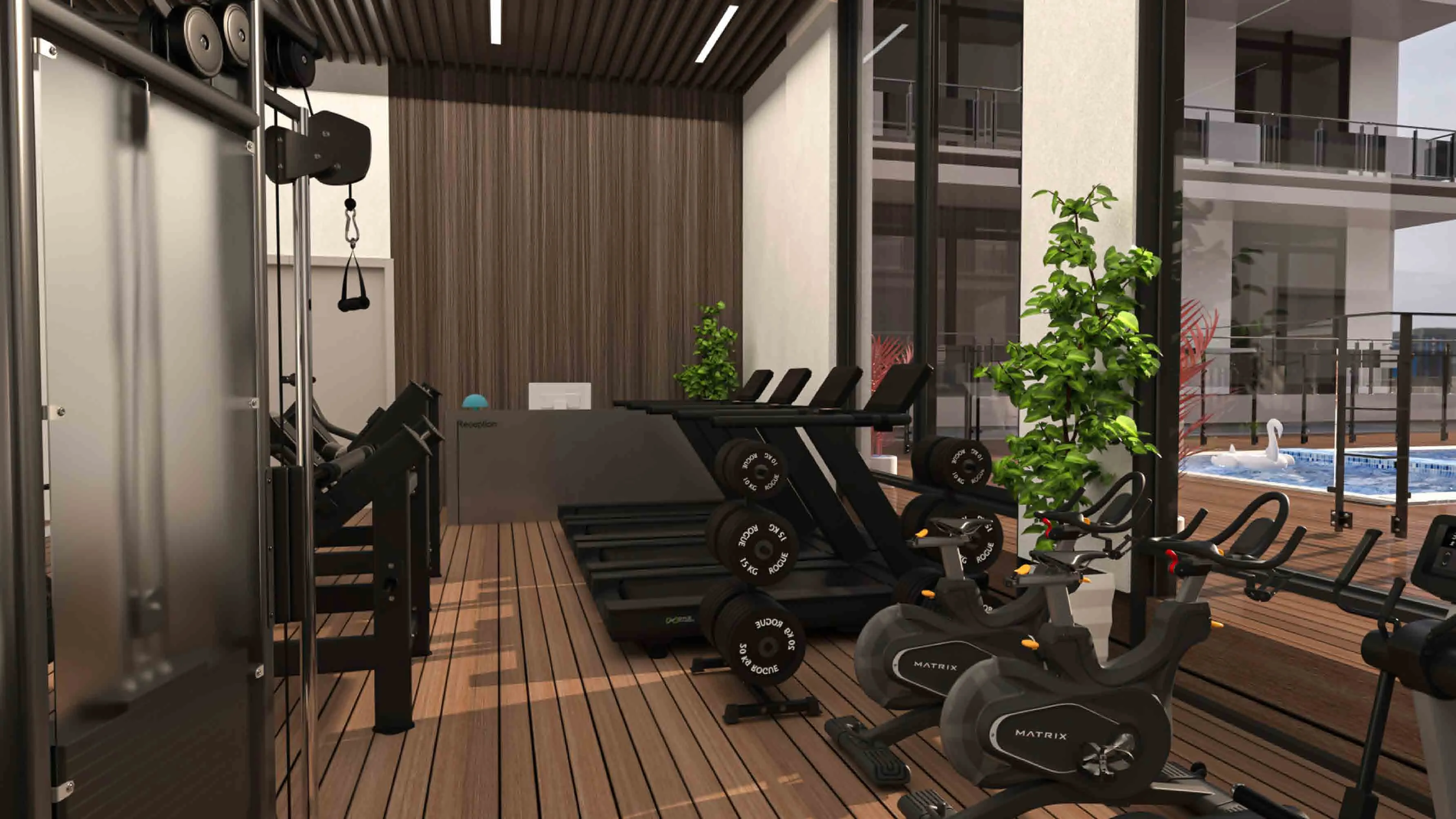 Gym