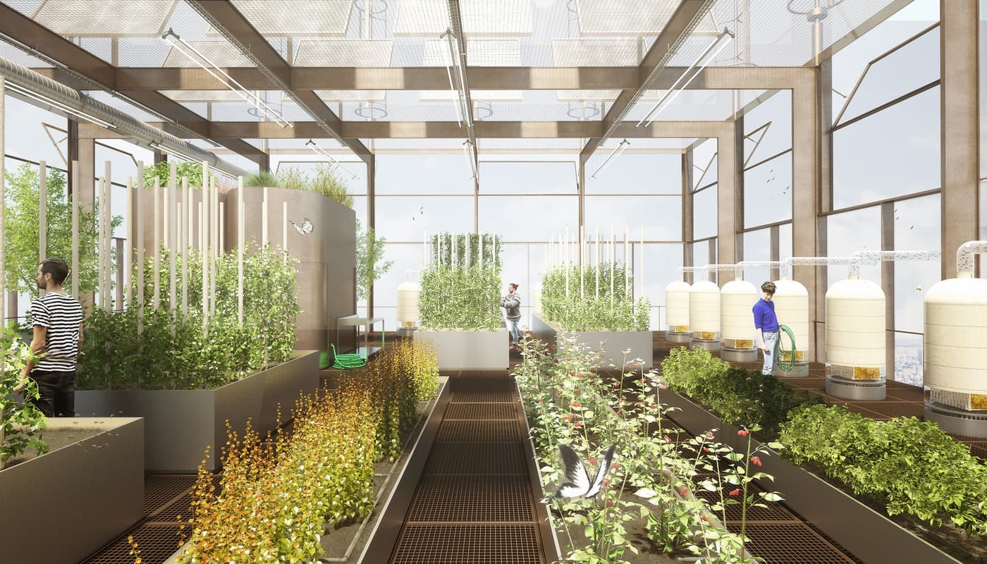 Urban Farm