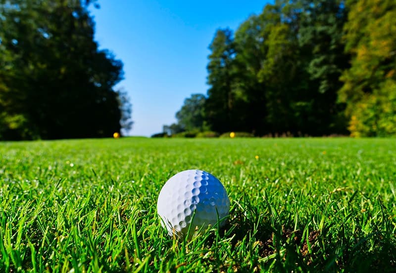 Golf Course