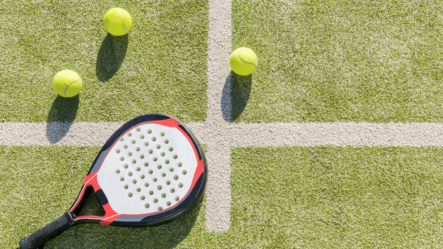 Badminton Court And Panel Court