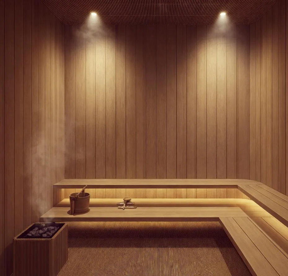 Steam and Sauna Rooms